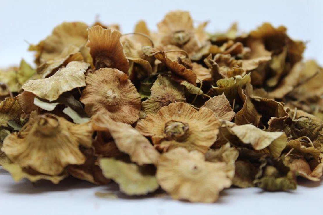 Organic JERUSALEM THORN BERRIES | Paliurus Spina Christi | Christ's Thorn Berries | Christ Thorn Tea | Herbal Tea | Herba | Tea