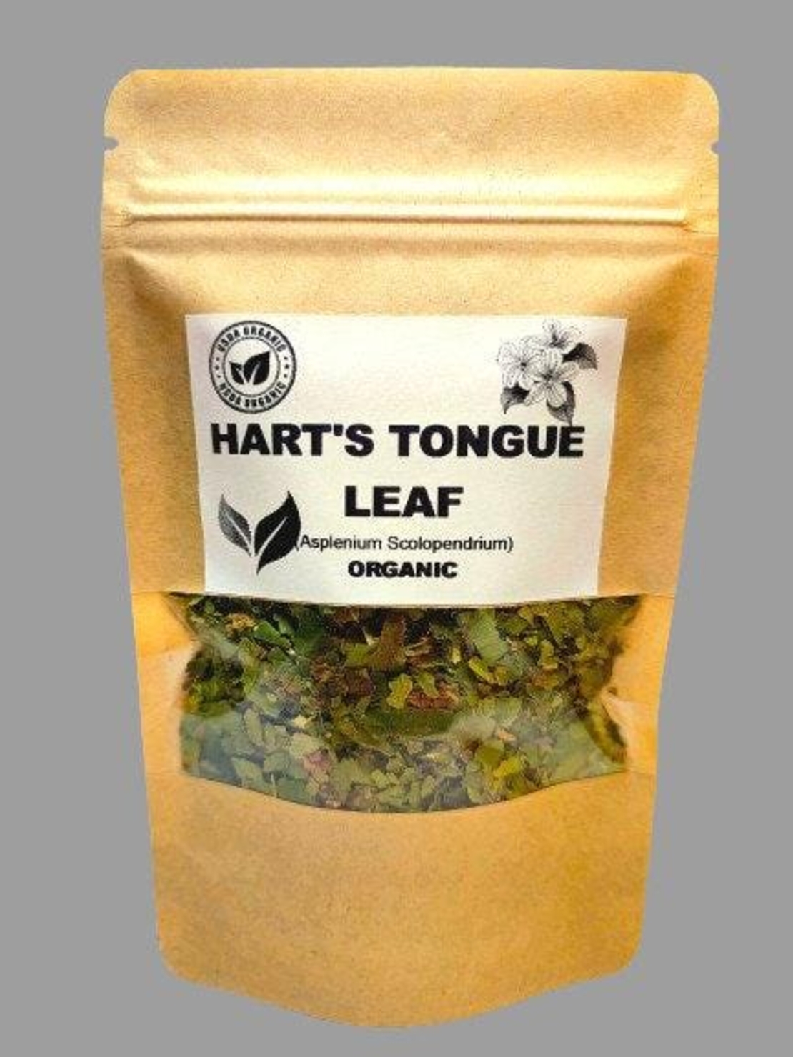 Organic HART'S TONGUE LEAF | asplenium scolopendrium | hart's tongue fern leaf | harts tongue tea | herbal tea | organic herbs | herba | tea