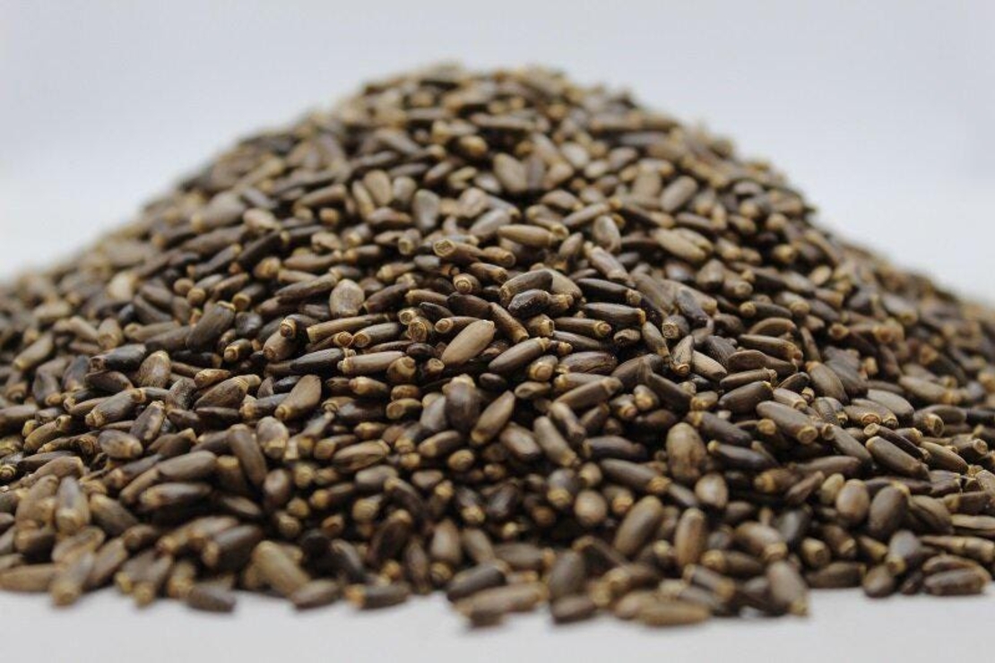 Organic MILK THISTLE SEEDS | Silybum Marianum | Milk Thistle Tea | Dried Seeds | Organic Seeds | Herbal Tea | Seeds