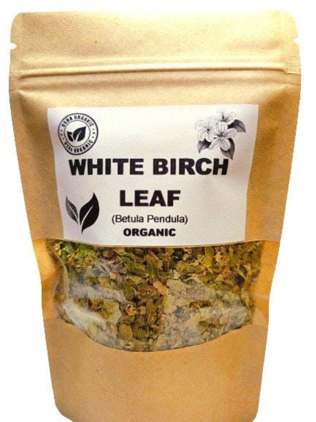 WHITE BIRCH LEAF | Betula pendula | B. alba – Natural Detox & Immune Support