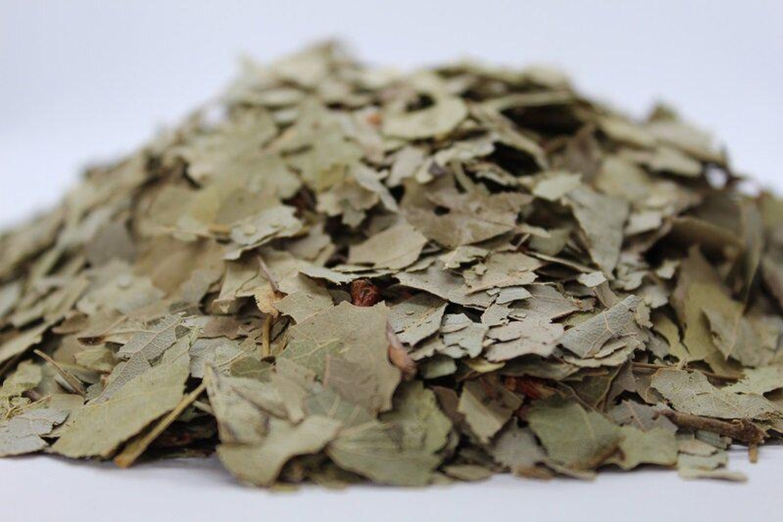 Organic ASPEN LEAF | Populus tremula | Aspen Leaf Tea | Herbal Tea | Medicinal Herbs | Dried Herbal Tea | Herbal Medicine | Organic Leaf Tea