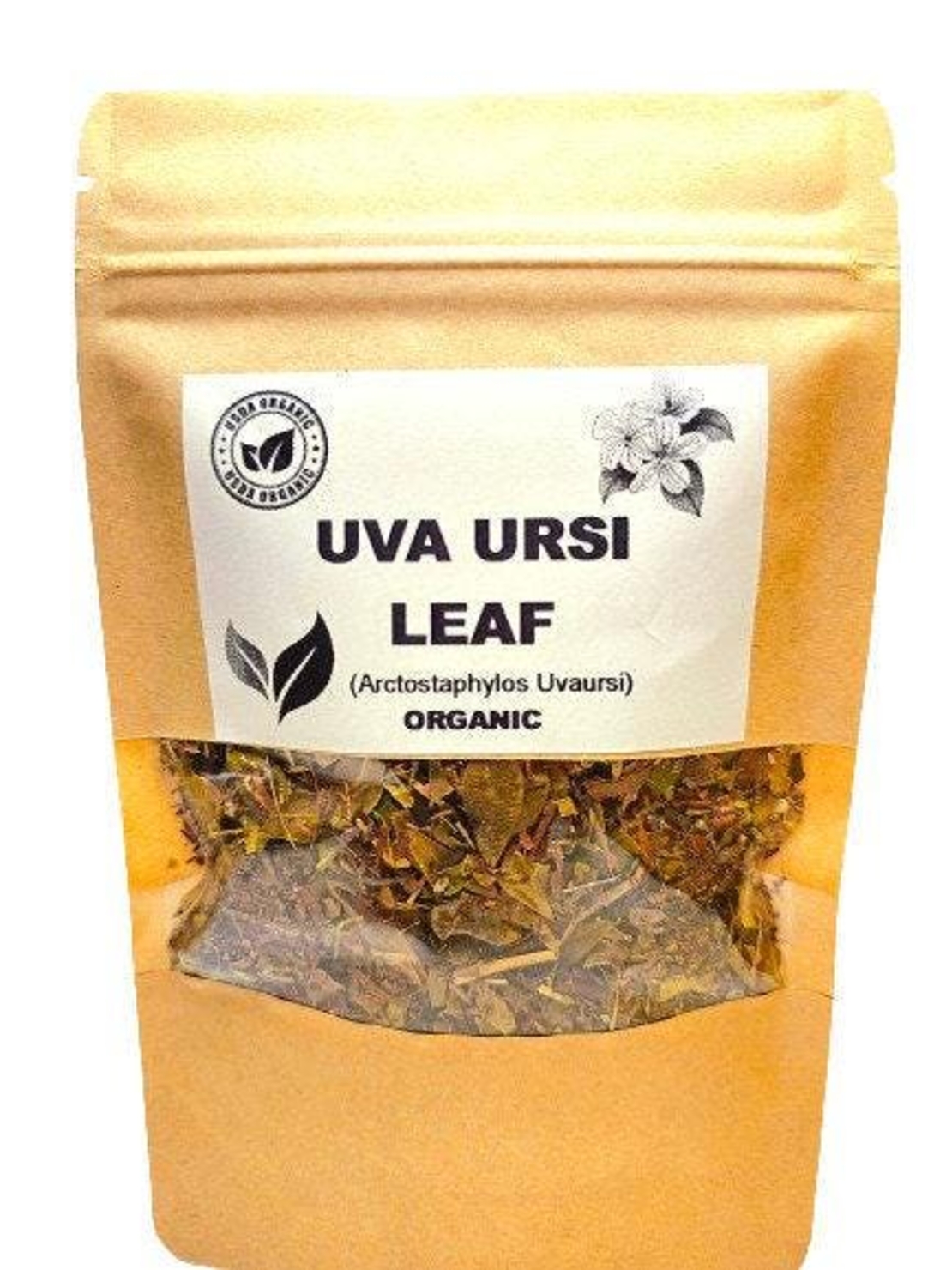 Organic UVA URSI LEAF | arctostaphylos uvaursi | uva ursi tea | dried leaf | organic herbs | dried herbs | herba | tea