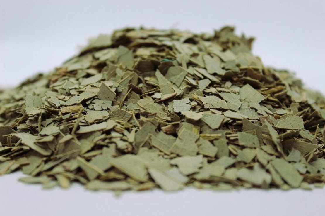 Organic EUCALYPTUS LEAF POWDER | eucalyptus globulus | eucalyptus tea | herbal tea | dried powder | organic herbs | herba | tea | dried herb