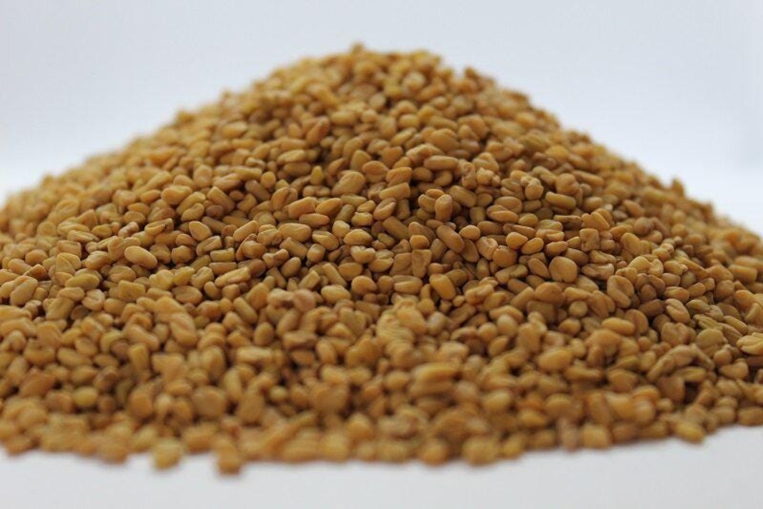 Organic FENUGREEK SEEDS | Trigonella Foenum Graecum | Fenugreek Tea | Herbal Tea | Dried Seeds | Organic Seeds | Herba | Tea