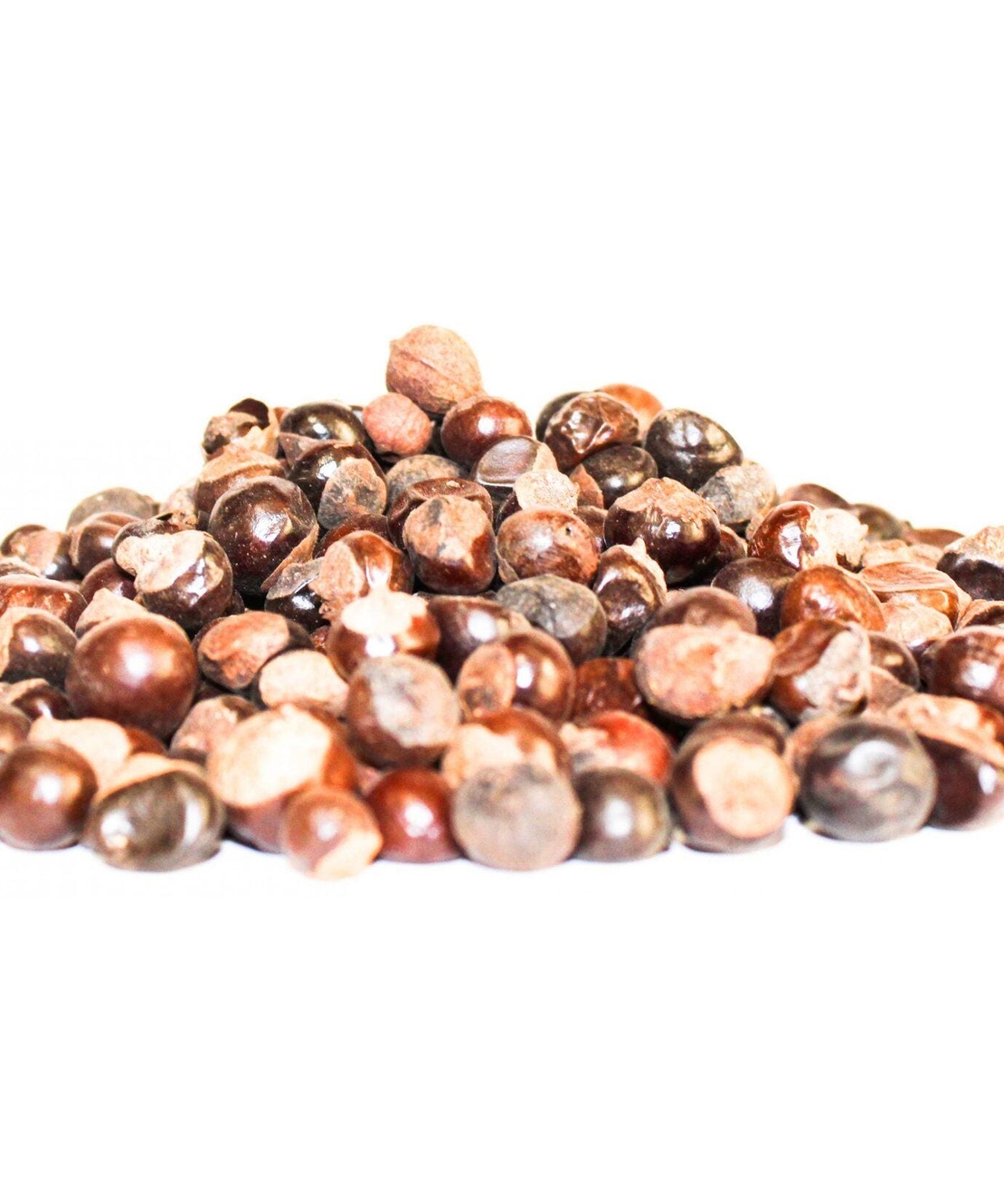 Organic Guarana Seeds | Whole Guarana Seeds | Paullinia Cupana | Guarana Fruit | Guarana Tea | Dried Fruit | Organic Fruit | Herbal Tea