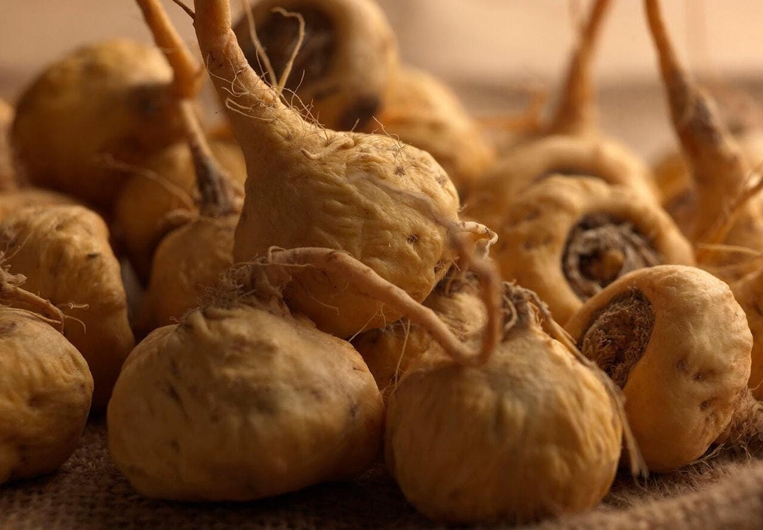 Organic MACA ROOT POWDER | lepidium meyenii | powder | maca root | herbal tea | orgnica root | dried root powder | herba | tea | herbs