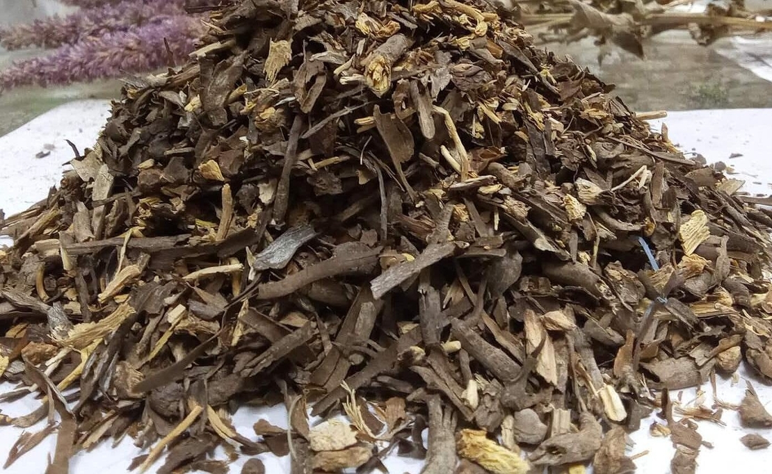 Organic Wild Asparagus Root (Asparagus officinalis)