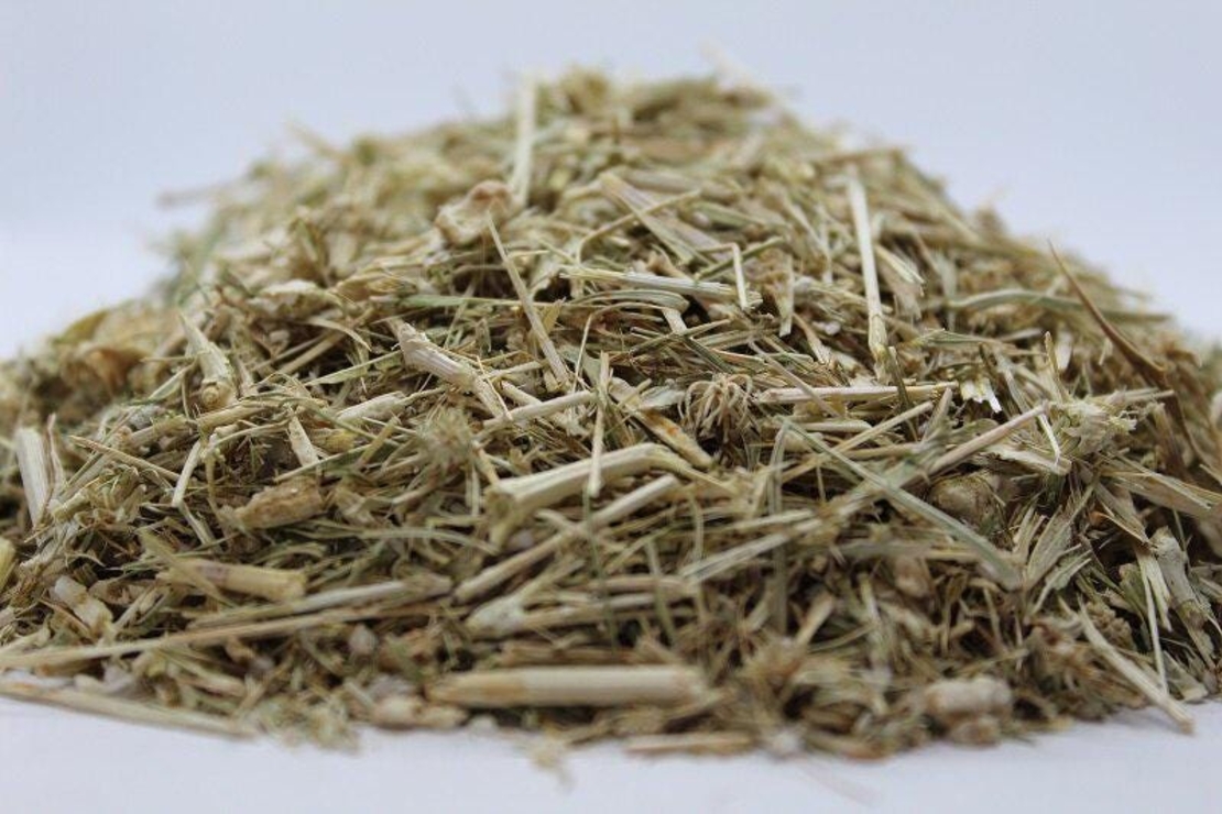 Organic FIELD ERYNGO HERB | Eryngium Campestre | Loose Leaf Natural Herbs | Herbal Tea | Herba | Tea | Dried Herbs | Dried Bulk Herb