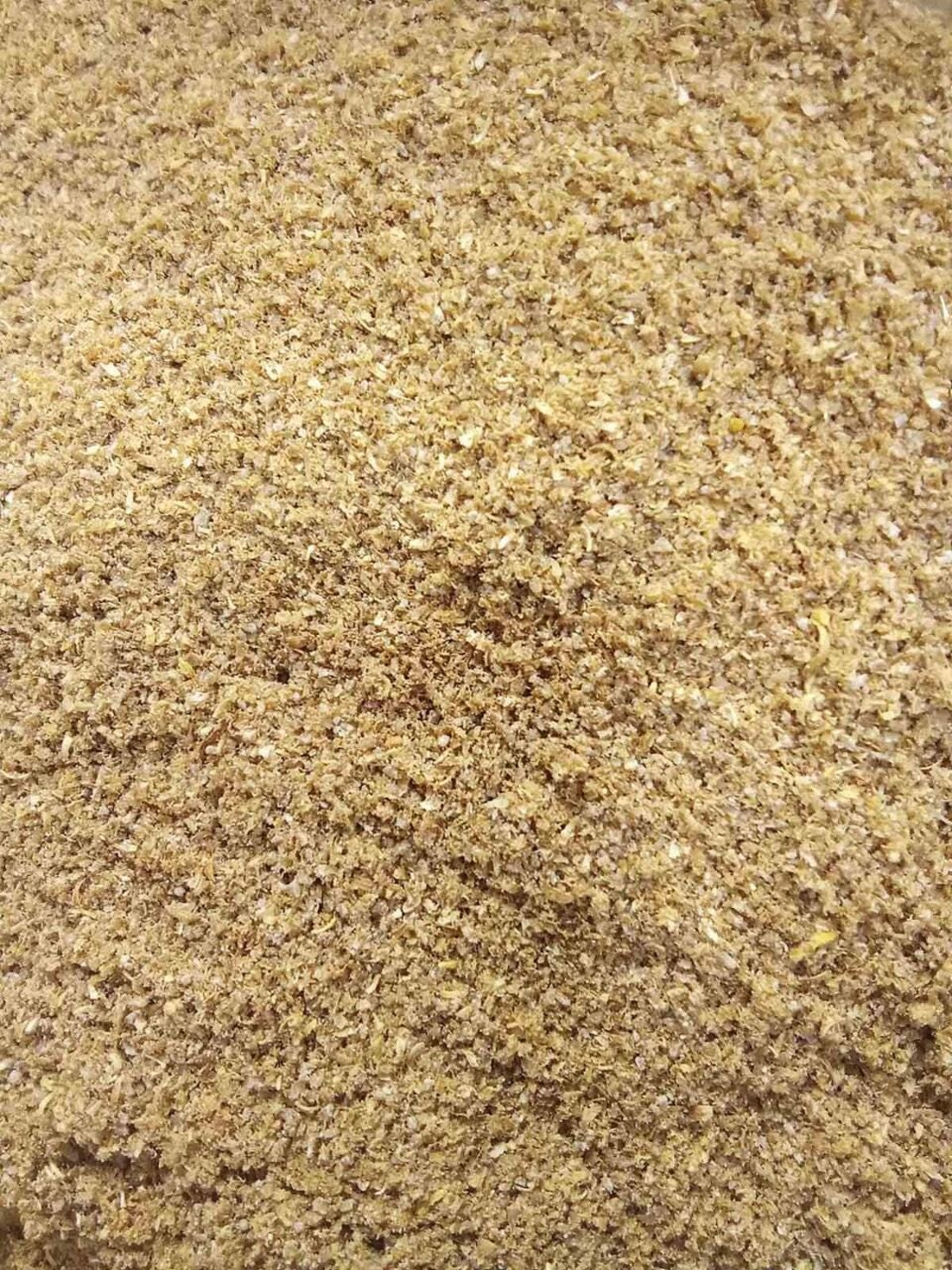 Organic CORIANDER POWDER | Coriandrum Sativum | Coriander Tea | Herbal Tea | Herba | Tea | Organic Herbs | Organic Powder |