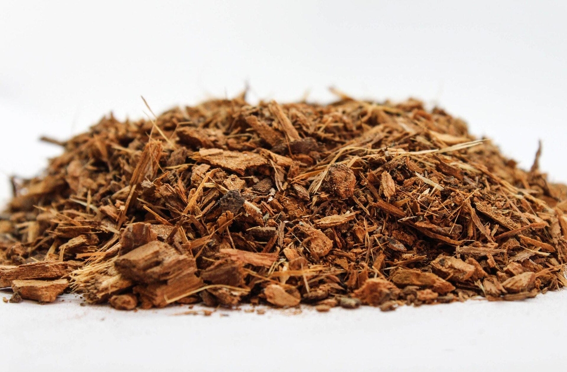 White Poplar Bark (Populus Alba) – Natural Pain Relief & Anti-Inflammatory – Organic & Wild-Harvested