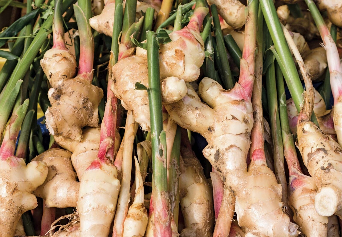 Organic GINGER ROOT POWDER | Zingiber Officinale | Dried Root | Organic Root | Organic Herbs | Herbal | Tea | Herbalist