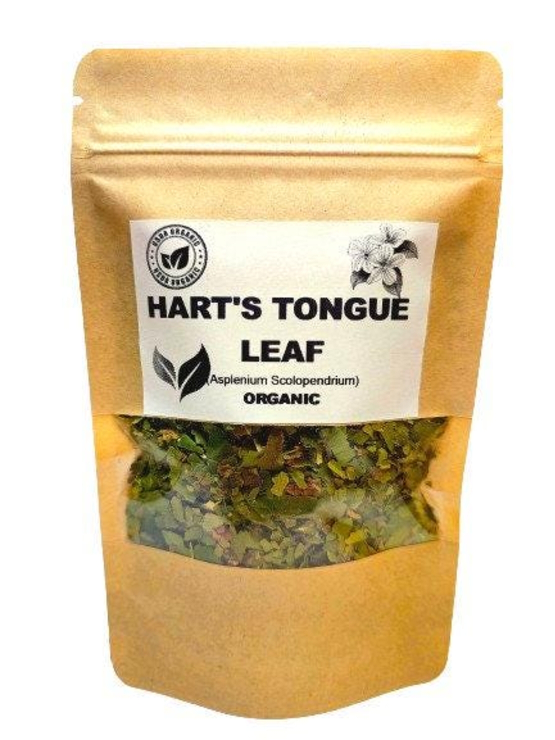 Organic HART'S TONGUE LEAF | asplenium scolopendrium | hart's tongue fern leaf | harts tongue tea | herbal tea | organic herbs | herba | tea
