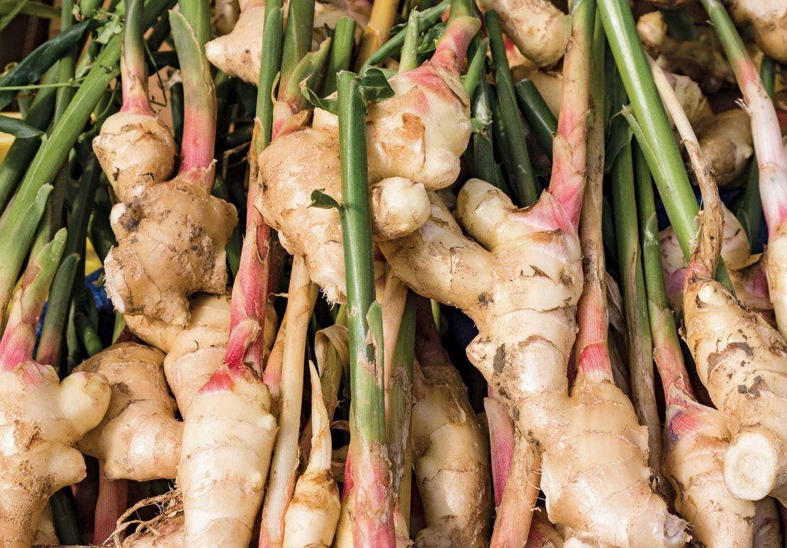 Organic GINGER ROOT POWDER | zingiber officinale | ginger powder | ginger root | herbal tea | organic herbs | dried root | herba | tea