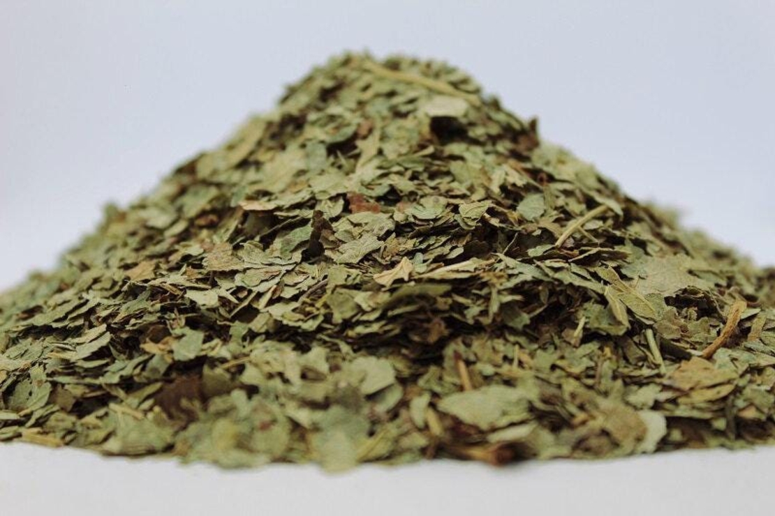 Organic BLACKCURRANT LEAF | Ribes nigrum , Loose Tea , Loose Dried Herbs , Dried Loose Herb | Blackcurrant Leaf Tea | Herbal Tea | Herba