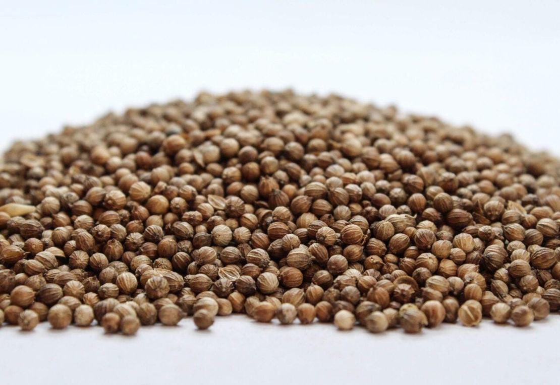 Organic CORIANDER SEEDS | Coriandrum Sativum | Semens | Coriander Tea | Herbal Tea | Herba | Tea | Dried Seeds | Spices