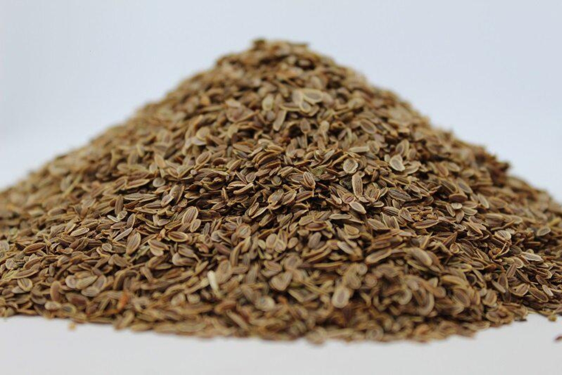 Organic DILL SEEDS | Anethum Graveolens | Dill Tea | Semens | Dried Seeds | Organic Herb | Herba | Tea | Kitchen Herbs | Spices