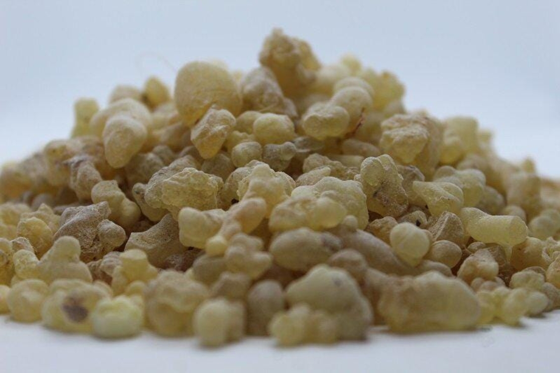 Organic FRANKINCENSE RESIN | Boswellia Serrata | Dried Resin | Organic Resin | Resin | Dried Bulk Herb | Herba | Natural Herbs Remedy
