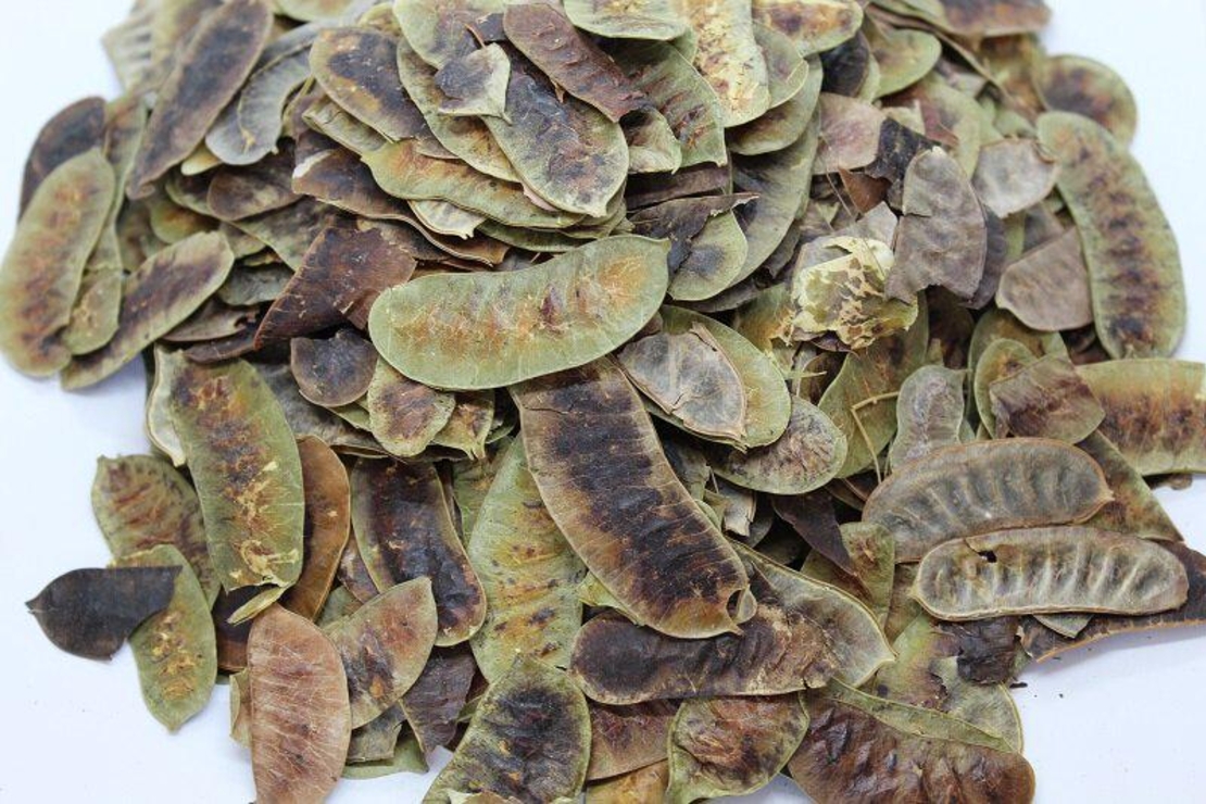 Organic SENNA PODS | Cassia Angustifolia | Senna Pods Tea | Cassia Senna | Cassia Acutifolia | Herbal Tea | Organic Herbs | Herba | Senna