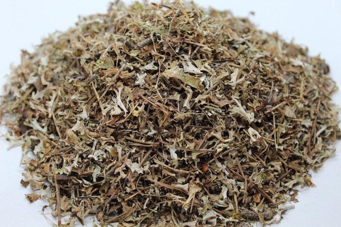 Organic ICELAND MOSS | Cetraria Islandica | Iceland Moss Tea | Herbal Tea | Dried Moss | Health Remedy | Dried Herbs | Natural Tea