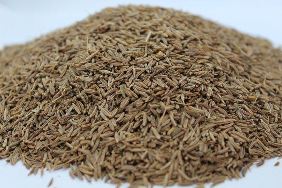 Organic CARAWAY SEEDS | Carum Carvi | Caraway Tea | Dried Seeds | Organic Herbs | Organic Spices | Herbal Tea | Herba | Tea |