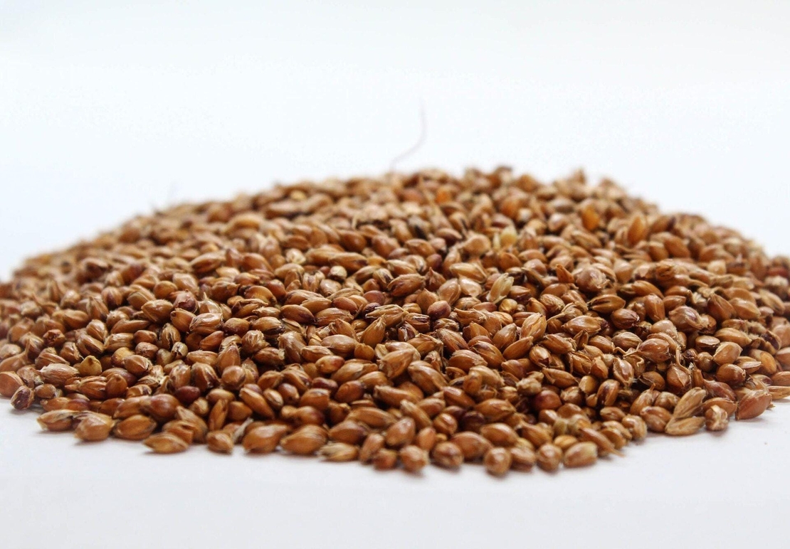 Organic sorghum seeds | sorghum vulgare | sorghum bicolor semens | i organic seeds | dried seeds | organic herbs | herba | tea