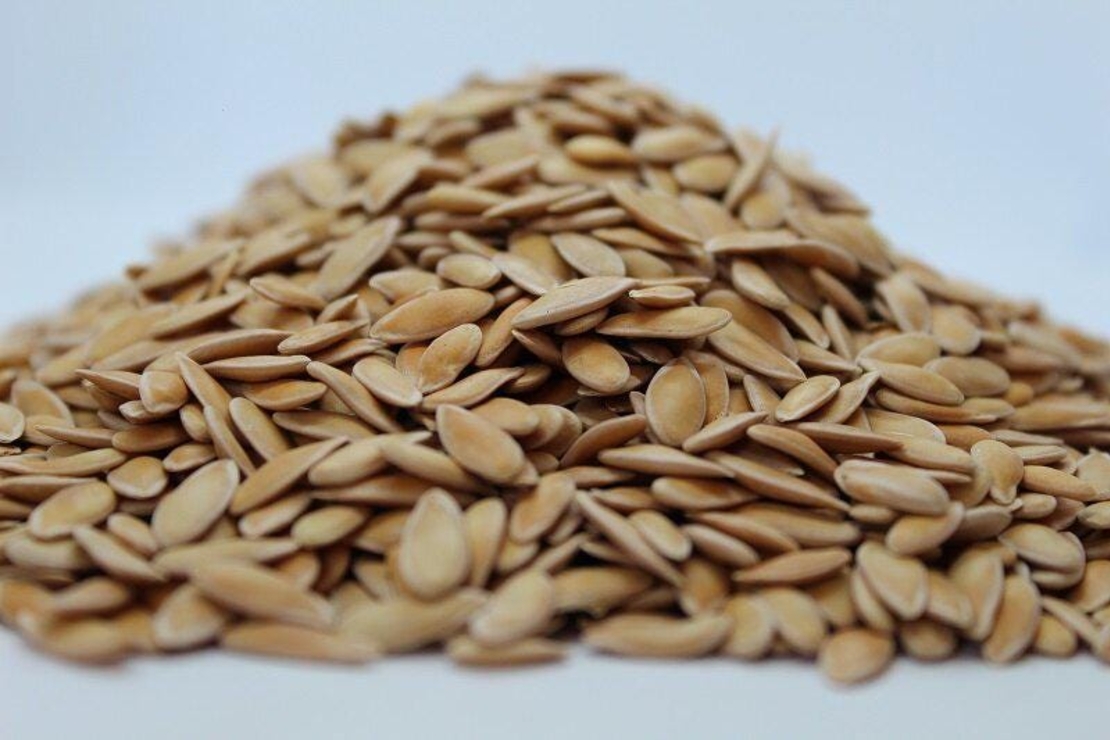 Organic MELON SEEDS | Cucumis Melo | Melon Tea | Herbal Tea | Semens | Dried Seeds | Organic Seeds | Organic Herbs