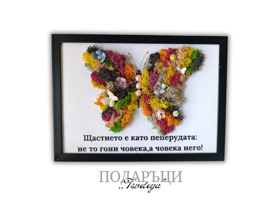 Картина със скандинавски мъх,,Пеперудата на щастието 