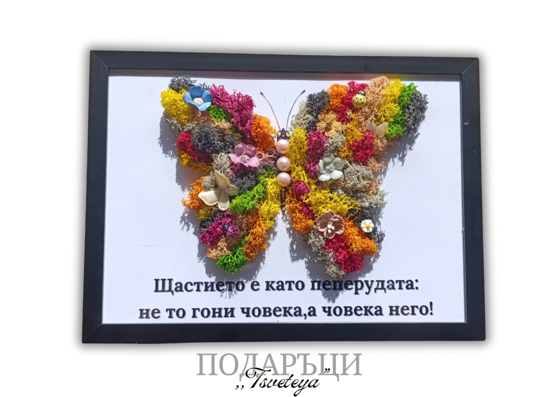 Картина със скандинавски мъх,,Пеперудата на щастието 