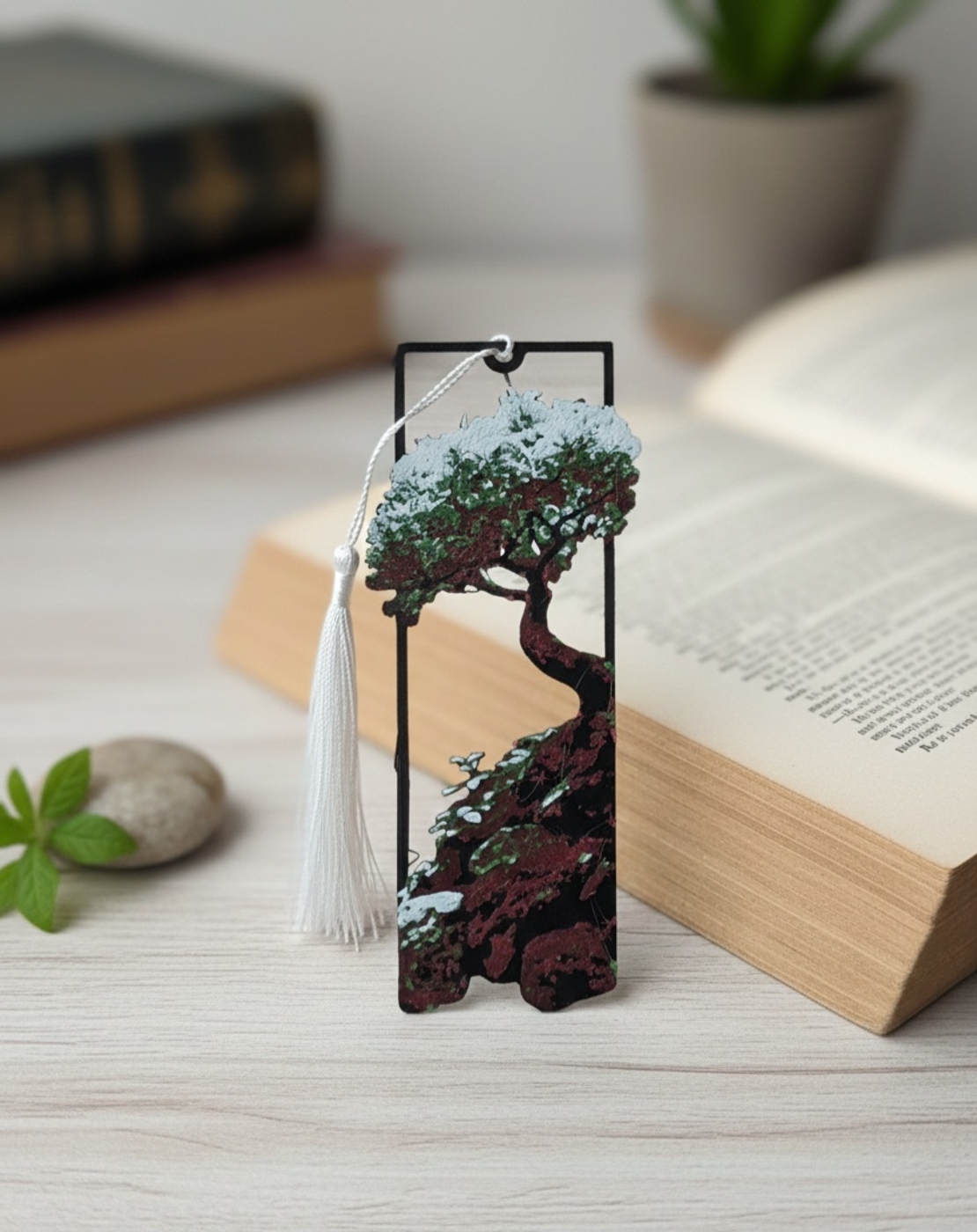 Кногоразделит,, Бонсай