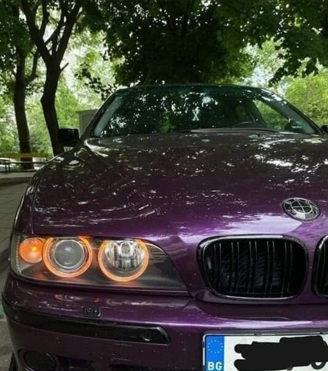Двойни Бъбреци за BMW E39