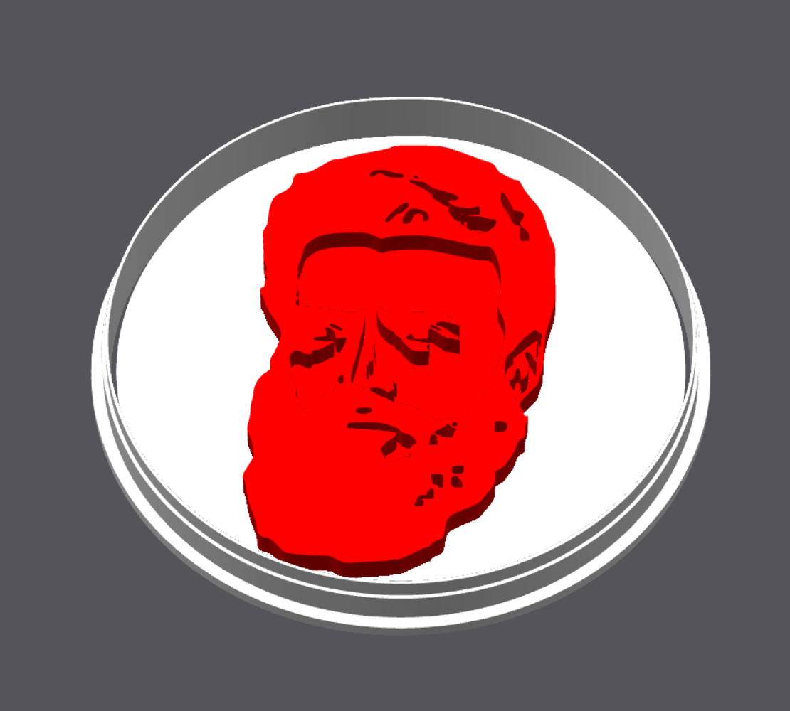 23