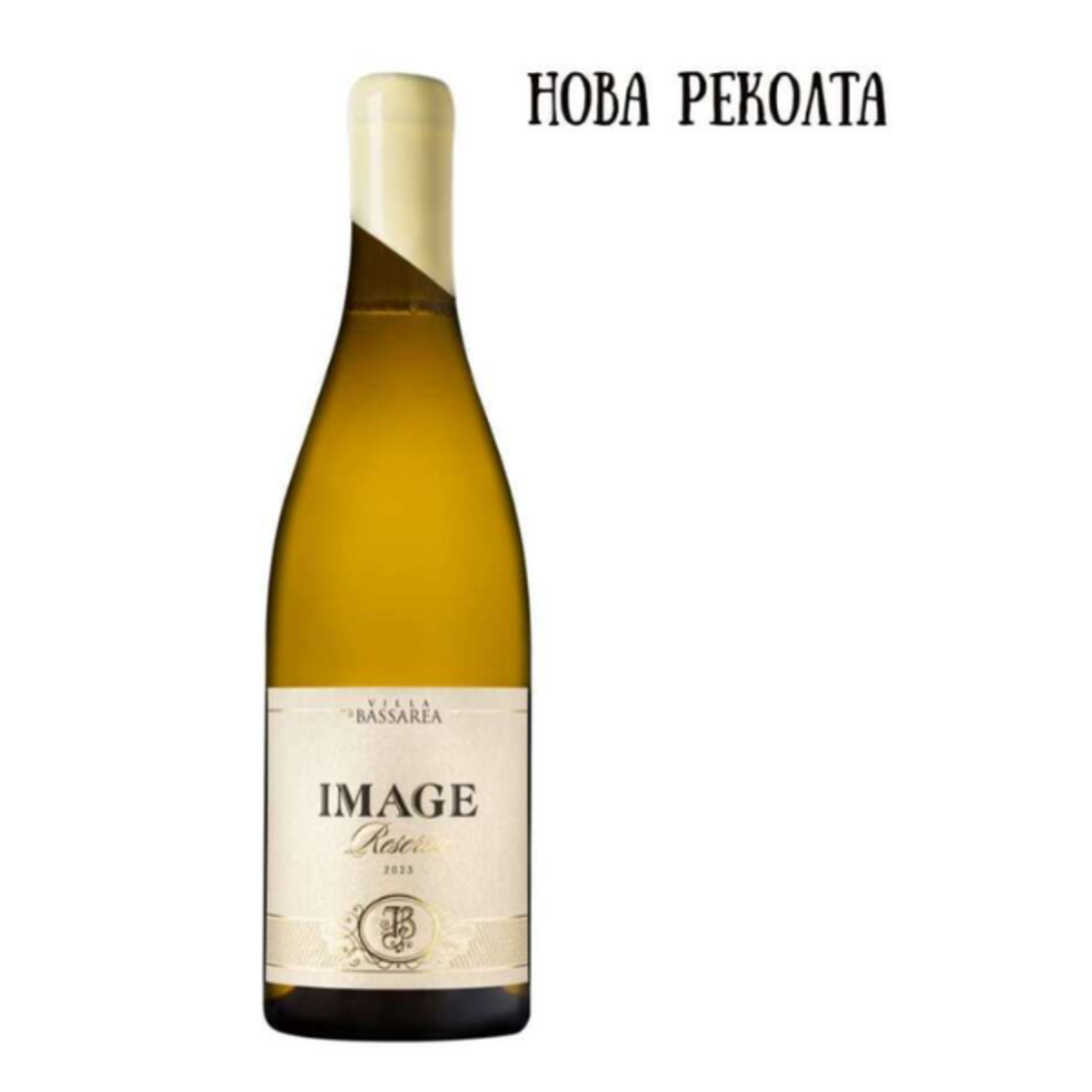 IMAGE white 2023 BASSAREA