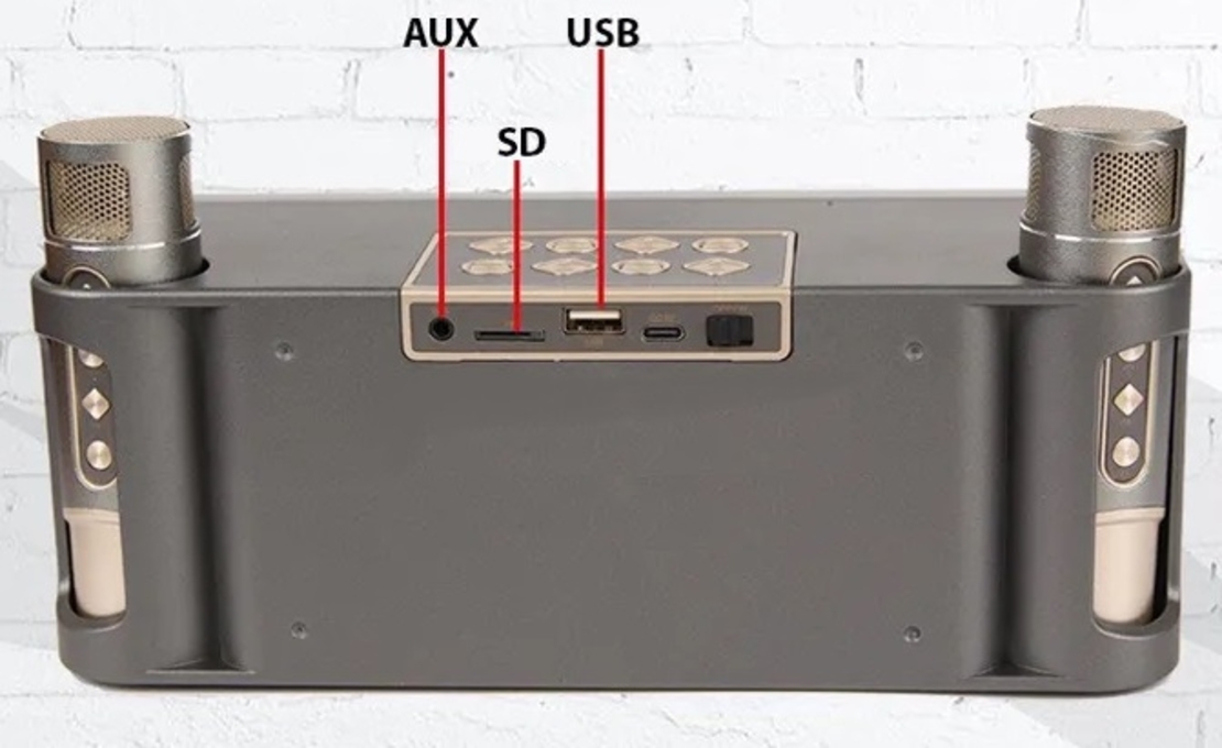 Безжична Bluetooth тонколонка с 2 микрофона караоке - YS215 - 887271 - Сребриста