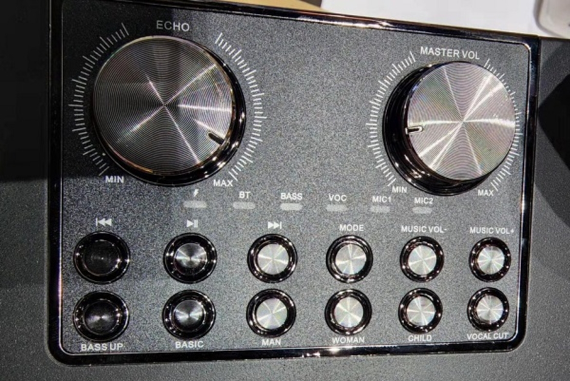 Безжична Bluetooth тонколона с 2 караоке микрофона - YS-202 - 887165 - Златиста
