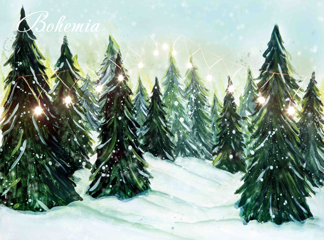 Коледен фон - външна декорация 10