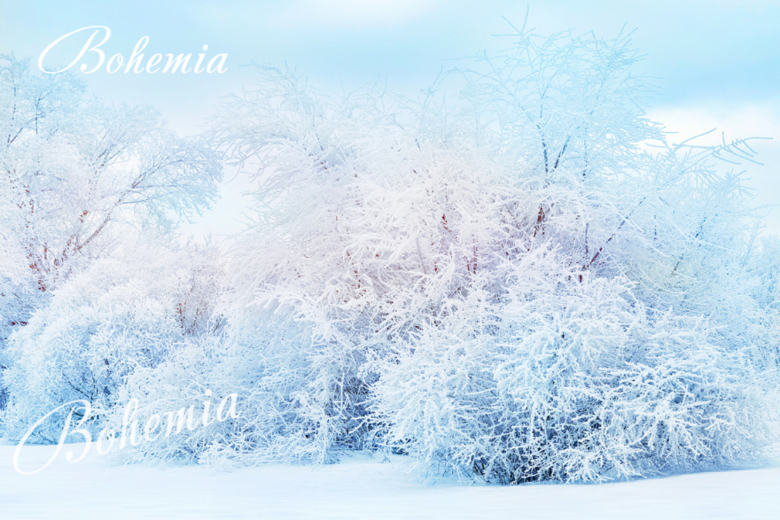 Коледен фон - пейзаж 04