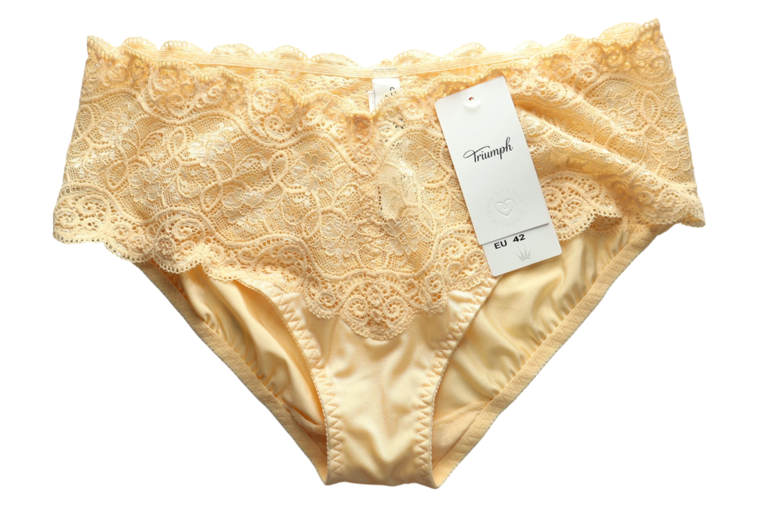 Triumph Lace Briefs • L