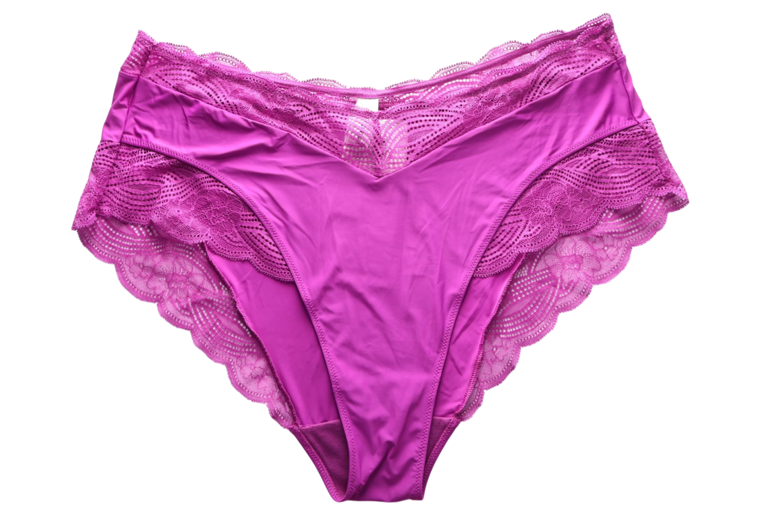 Triumph Lift Smart Brief Maxi • XL