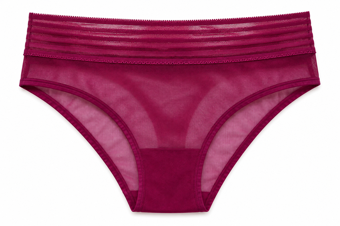 Triumph Mesh Brazilian Briefs • M