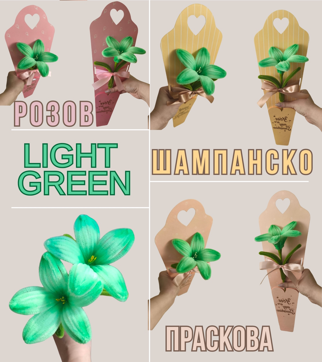 Лилия в подаръчна опаковка (Различни цветове)