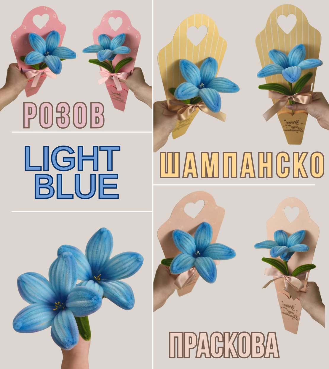Лилия в подаръчна опаковка (Различни цветове)