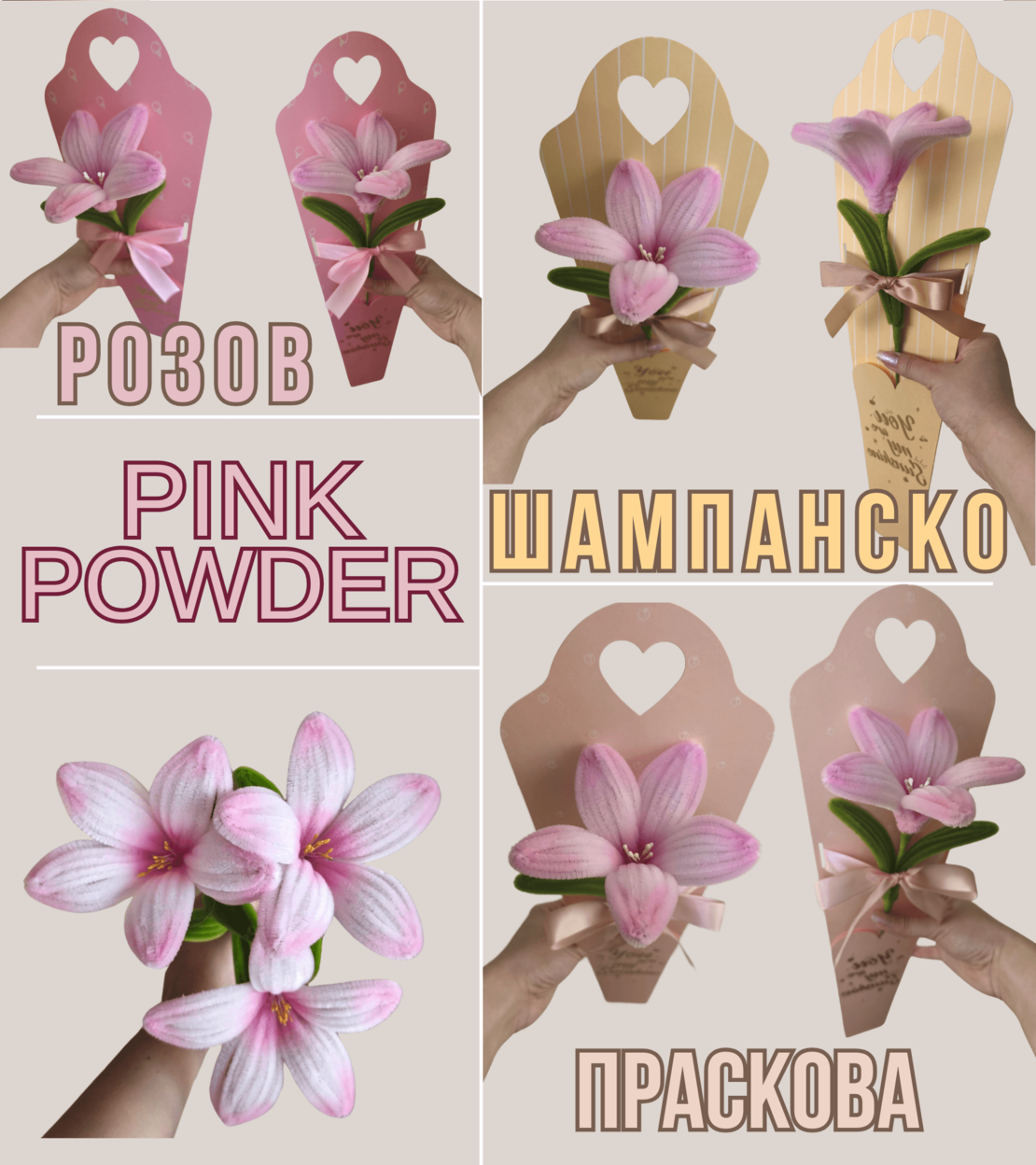 Лилия в подаръчна опаковка (Различни цветове)