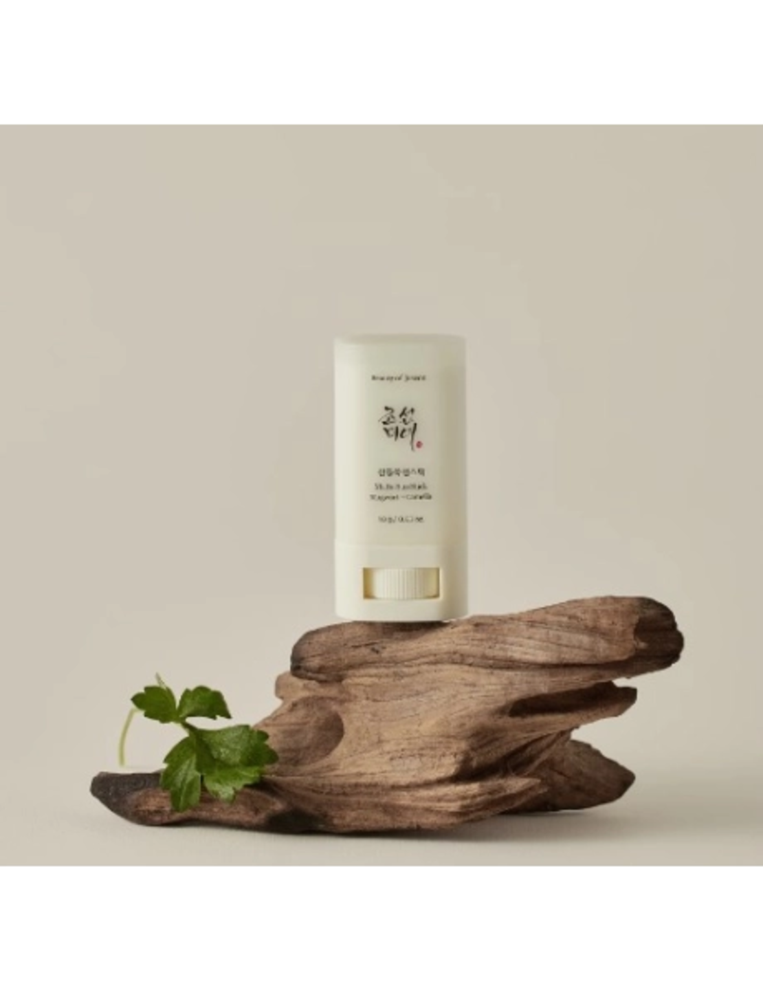 Beauty of Joseon Matte sun stick mugwort & camelia SPF50 PA++++  18 gr.