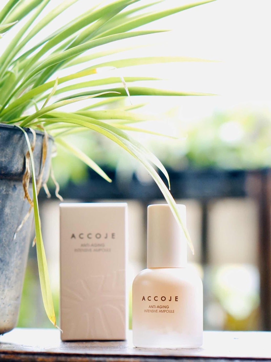 ACCOJE Anti-Aging Intensive Ampoule 30ml