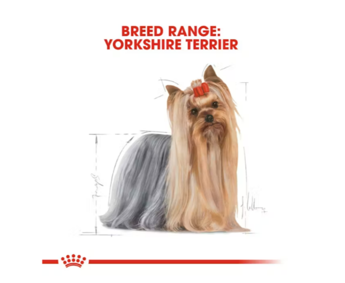Royal Canin Yorkshire Terrier Adult 500gr
