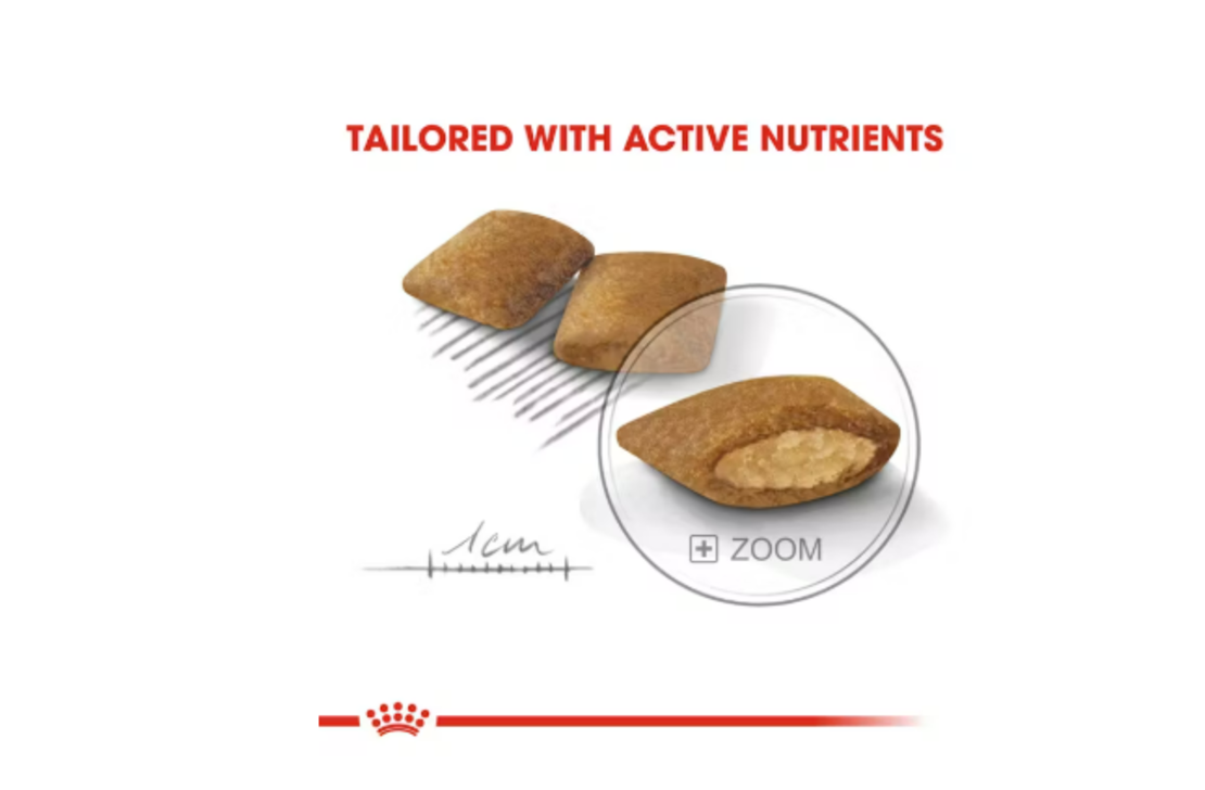 Royal Canin Mini Exigent, 1 кг