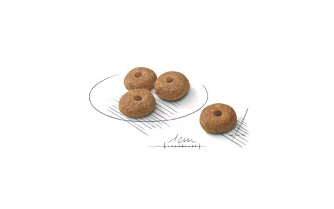 Royal Canin Mini Sterilised, 1 кг