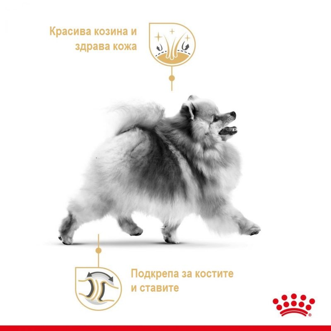Royal Canin Pomeranian Adult 500gr