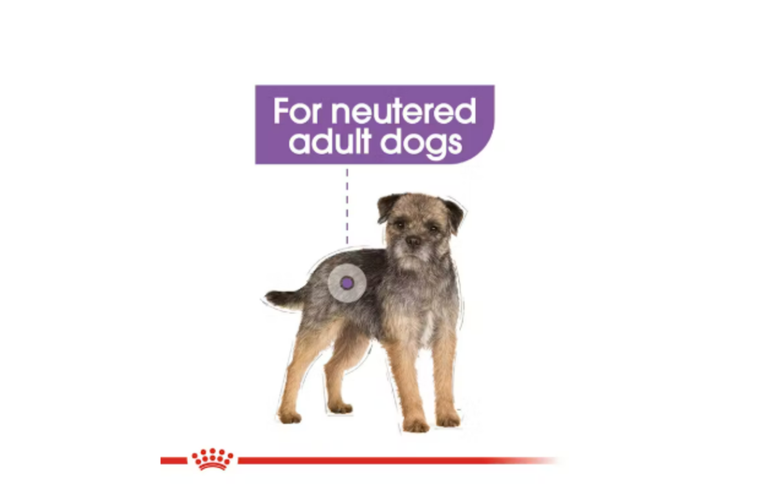 Royal Canin Mini Sterilised, 1 кг