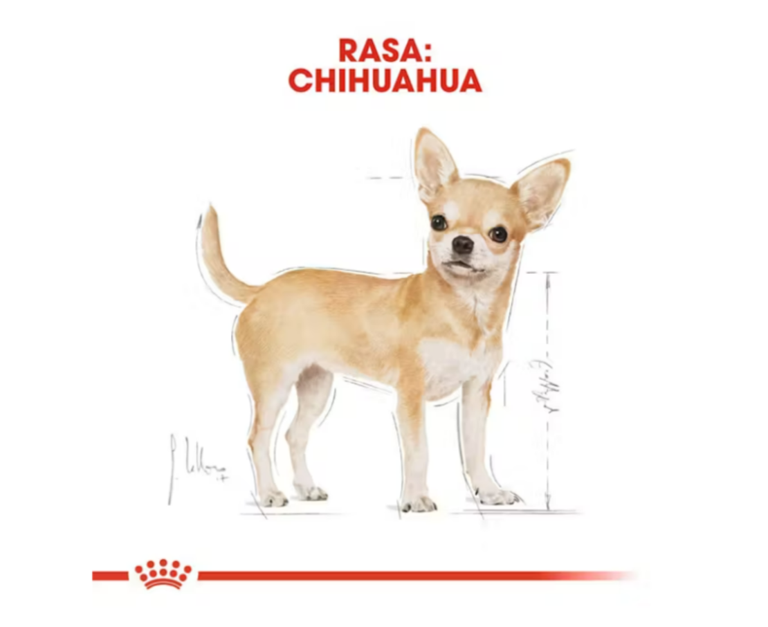 Royal Canin Chihuahua Adult 500gr